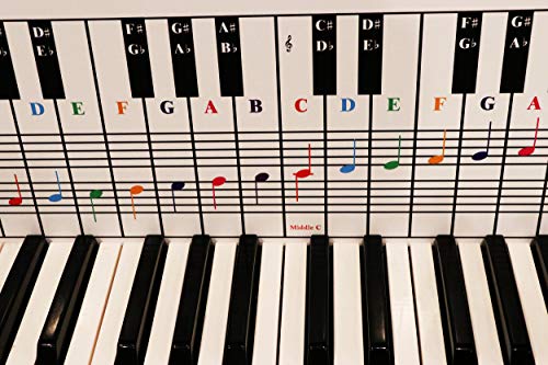 Klavier- und Keyboard-Notiztabelle, Verwendung hinter den Tasten, ideales visuelles Werkzeug für Anfänger, für jedes mittelgroße bis volle Klavier oder Keyboard, deckt vier Oktaven ab. von QMG