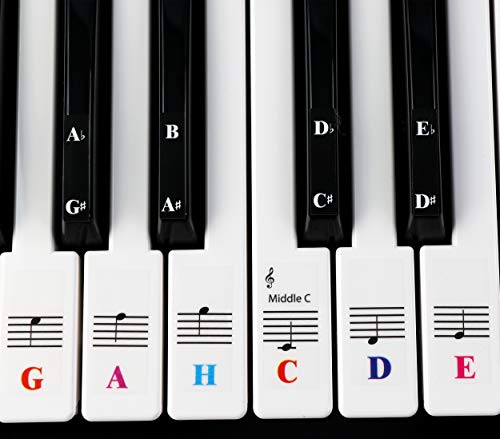 Klavieraufkleber Für Keyboards mit 61 Tasten - transparent und entfernbar von QMG