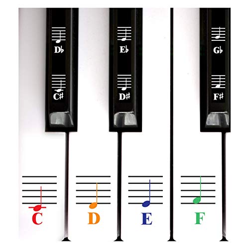 QMG Farbiges Klavier und Keyboard Musiknoten Komplettset Aufkleber für weiße und schwarze Tasten von QMG