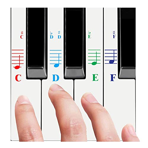 QMG Klavieraufkleber für alle weißen Tasten (49/61/76/88 Tasten-Keyboards) – helle bunte Buchstaben, transparent und abnehmbar, perfektes visuelles Werkzeug für Kinder und Anfänger von QMG