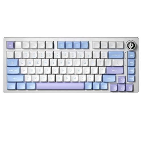 QPSJXN HI75 RGB RGB Rückenbeleuchtete mechanische -Tastatur mit Metallbasis Hot Swappable Dichtungsstruktur PBT -Tastatur und HiFi -Sound(Creamy Purple-MDA) von QPSJXN