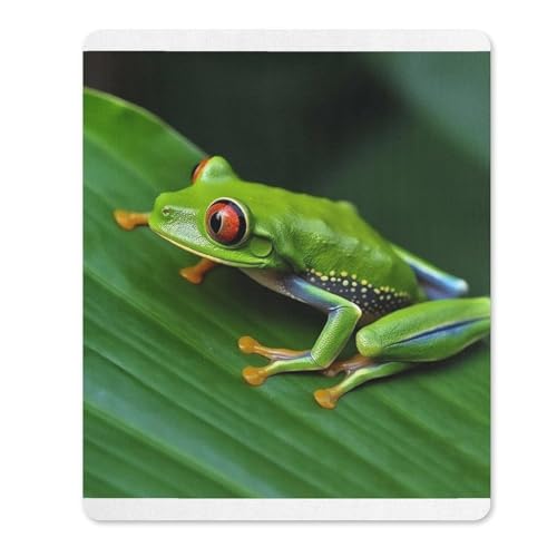 Gummi-Mauspads, wasserdicht, Tier, Frosch, grüne Blätter, Druck-Mauspad, rutschfeste Schreibtisch-Schutzmatte für Gaming, Büro und Zuhause Gummi-Mauspads, wasserdicht, Tier, Frosch, grüne Blätter, Druck-Mauspad, rutschfeste Schreibtisch-Schutzmatte für Gaming, Büro und Zuhause von QSKDLAC