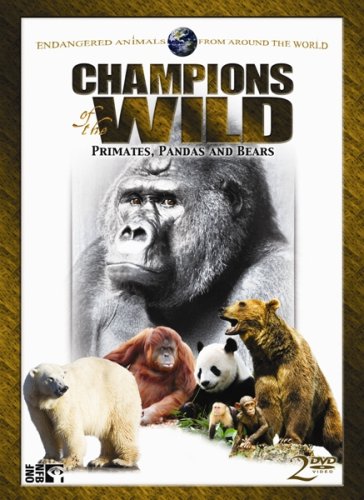 Champions Of The Wild Primates, Pandas & Bears 2 Dvd Embossed Tin von QUANTUM LEAP