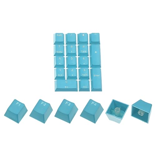 QUARKZMAN 17 Schlüssel PBT Tastenkappe Set OEM Profil Hinterleuchteter Doppelschuss 60% für Schlüssel Mechanische Tastatur Layout Blau von QUARKZMAN