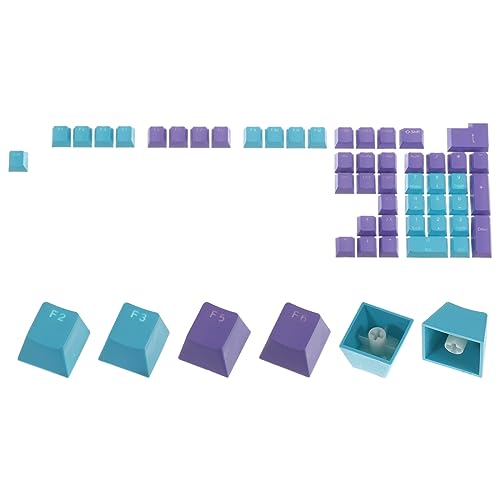 QUARKZMAN 42 Schlüssel PBT Tastenkappe Set OEM Profil Hinterleuchteter Doppelschuss 60% für Schlüssel Mechanische Tastatur Layout Lila und Blau von QUARKZMAN