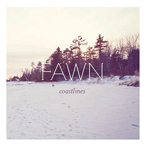 Coastlines [Vinyl LP] von QUITE SCIENTIFIC
