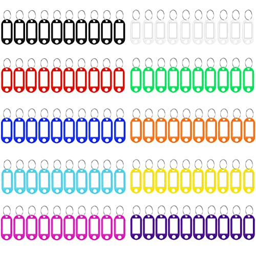 100 Stück Schlüsselanhänger – 10 Farben, Kunststoff Schlüsselanhänger Beschriftbar Schlüsselschilder mit Schlüsselringen Key Label zum Schlüssel Koffern Haustieren Markieren von Qikaara