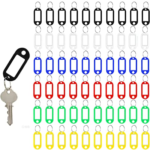 60 Stück Schlüsselanhänger beschriftbar– 6 Farben, Strapazierfähige Schlüssel Anhänger mit Etiketten Farbige Schlüsselanhänger zum Beschriften für Organisation oder Reisen von Qikaara
