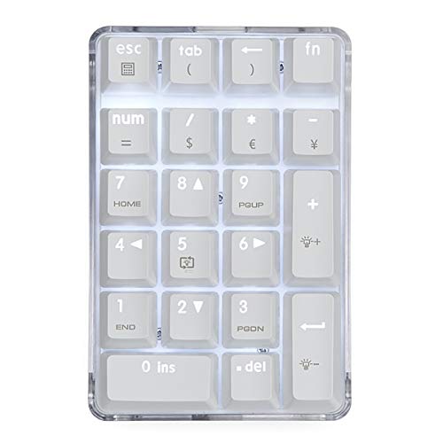 Mechanische numerische Tastatur GATERON Brown Switch Verdrahtete weiße beleuchtete Numpad 21 Tasten Tragbare Tastatur Erweiterter Aufbau White Magicforce von Qisan von Qisan