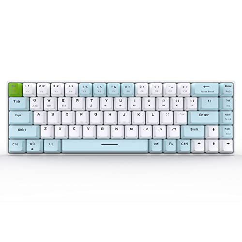 Qisan Mechanical Wireless Keyboard Gaming Keyboard Brown Switch Mini Design (60%) 68 Tasten US-Layout-Blau und Weiß von Qisan