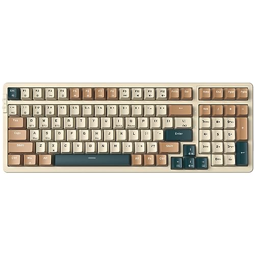 Qisan Mechanische Drahtlose Tastatur USB Verdrahtete Gaming Tastatur LED Hintergrundbeleuchtung Tastatur Brown Schalter 100 Tasten US Layout (Braun/Beige/Dunkelgrün Combo) von Qisan