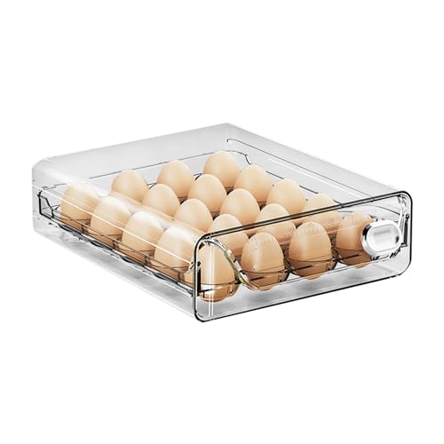 Qivine Eierhalter Kühlschrank, Eierbox für 20 Eier, Kühlschrank Organizer Eier mit Zeitskala, Kunststoff Eier Aufbewahrung Kühlschrank mit Deckel, Platzsparende Eierkartons für Küche (1 Etagen) von Qivine