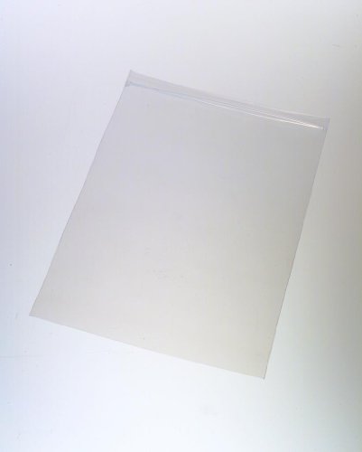 qorpak bag-00006 Polyethylen Transparent LDPE Reißverschluss Tasche, 2 Mil, 10,2 x 15,2 cm Größe (1000 Stück) von Qorpak