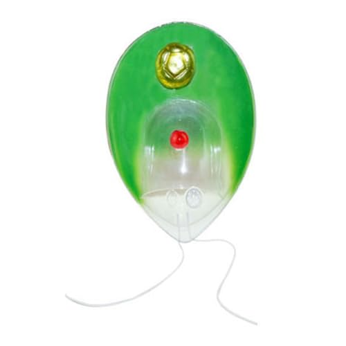 Einzelzellen Chlamydomonas Modell Anatomische Modell Biologie Wissenschaftsmodell Biologie Lehrmittel Für Medizinerforschung von Qsvbeeqj