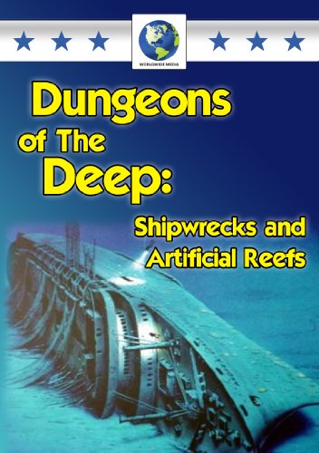 Dungeons Of The Deep - Shipwrecks And Artificial Reefs [DVD] von Quantum Leap Group