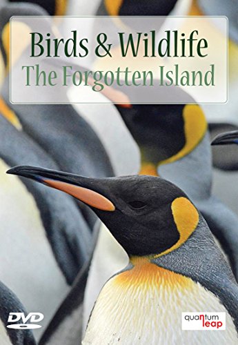 Birds And Wildlife: The Forgotten Island [DVD] von Quantum Leap