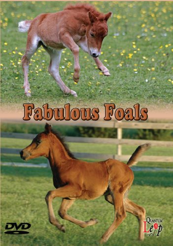 Fabulous Foals [DVD] von Quantum Leap