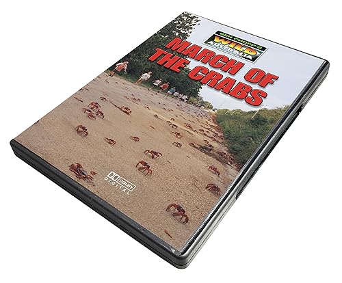 March Of The Crabs [DVD] von Quantum Leap