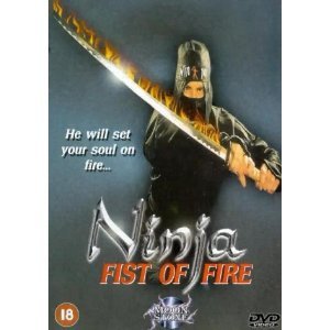Ninja Fist Of Fire Martial Arts Kung Fu Movie DVD NEW von Quantum Leap