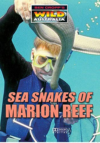 Sea Snakes Of Marion Reef [DVD] von Quantum Leap