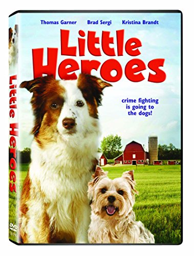 Little Heros [DVD] von Questar