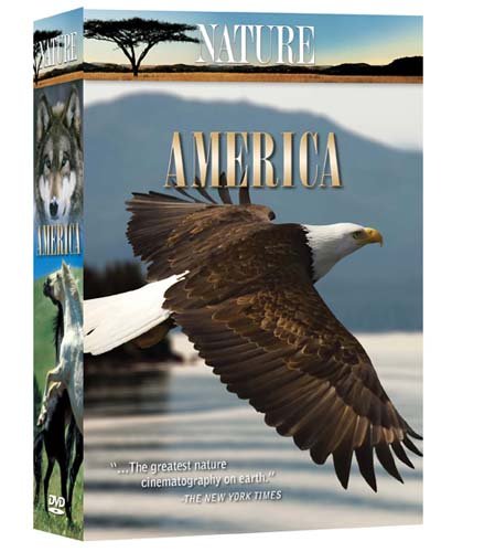 Nature: America (6pc) [DVD] [Region 1] [NTSC] [US Import] von Questar