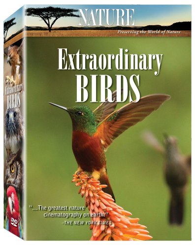 Nature: Extraordinary Birds [DVD] [Import] von Questar