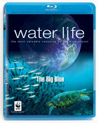 Water Life: The Big Blue [Blu-ray] [US Import] von Questar