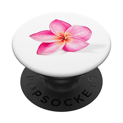 Frangipani Rosa Blume PopSockets mit austauschbarem PopGrip von Quinn Cafe