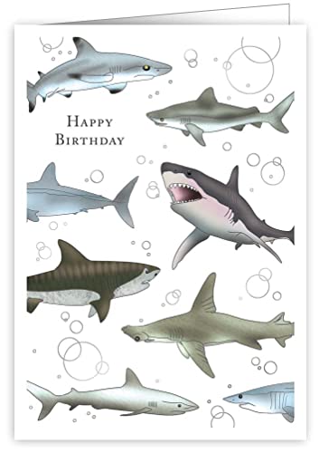 Quire Mac Classic Karte Happy Birthday Haie von Quire Collections