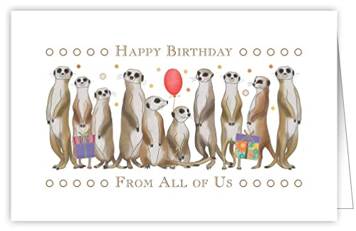 Quire Touch of Classic Karte Meercats Happy Birthday From All Of Us, 90 x 139 mm von Quire Collections