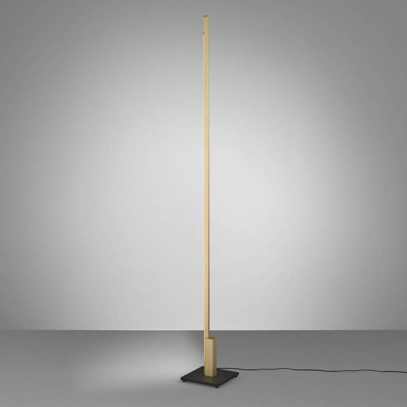 Quitani Talon LED-Stehleuchte eloxal messing matt von Quitani