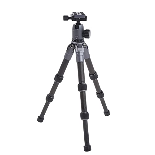 Qukaim Manbily Kohlefaser-Stativ, 360° drehbarer Kugelkopf, Mini-Tischständer für DSLR-Kamera, leicht, professionelles Design, tragbar für Reisen, 30,5 cm hoch Qukaim Manbily Kohlefaser-Stativ, 360° drehbarer Kugelkopf, Mini-Tischständer für DSLR-Kamera, leicht, professionelles Design, tragbar für Reisen, 30,5 cm hoch von Qukaim