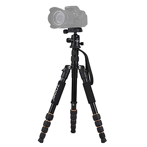 Qukaim Zomei Q666 Kompaktes Reise-Kamerastativ aus Aluminiumlegierung, Einbeinstativ mit Kugelkopf, Schnellwechselplatte, Tragetasche für DSLR-Kamera, leicht, für den Außenbereich Qukaim Zomei Q666 Kompaktes Reise-Kamerastativ aus Aluminiumlegierung, Einbeinstativ mit Kugelkopf, Schnellwechselplatte, Tragetasche für DSLR-Kamera, leicht, für den Außenbereich von Qukaim