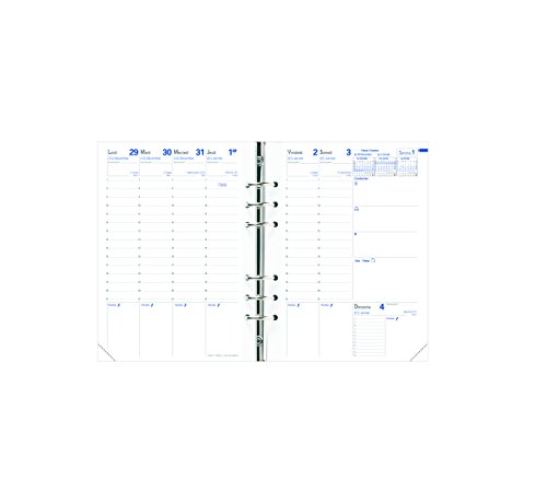 Quo Vadis 200004q Timer 21 gleiten Refill fr S/F 15 x 21 von Quo Vadis
