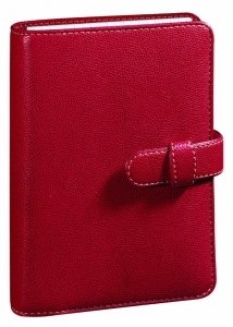 Quo Vadis – Kollektion: Club Time 21 Planing – Schreibtisch-Organizer – Wochenkalender – 15 x 21 cm – Kirschrot – Jahr 2022-2023 von EXACOMPTA
