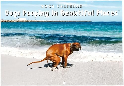 Dogs Pooping In Beautiful Places Kalender 2024 Humor Lustige Hunde Pooping Kalender 12 Monate Familienkalender Halloween Geburtstage Weihnachten Streich Geschenk für Männer Frauen Hundeliebhaber von Qxiao