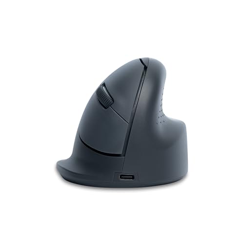 R-Go HE Basic Ergonomische Maus, Bluetooth 5.0, Wiederaufladbare mit Type C/A, Vorbeugung Mausarm/Tennisarm, Vertikale Ergo Maus für Windows/Mac/Linux/Android, 1600DPI und 3 Tasten, Grau von R-Go Tools