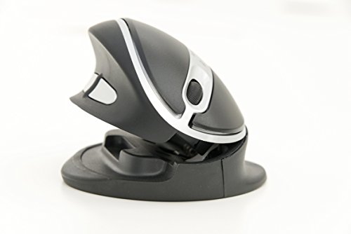 R-Go Oyster drahtlos Maus (1200dpi, 5-Tastenanzahl, USB 2.0) schwarz/Silber von R-Go Tools