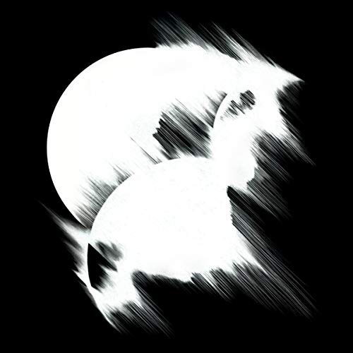 Tundra Remixed (12inch Vinyl S [Vinyl Maxi-Single] von R&S RECORDS