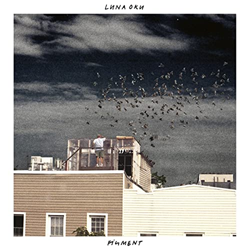 Figment [Vinyl LP] von membran