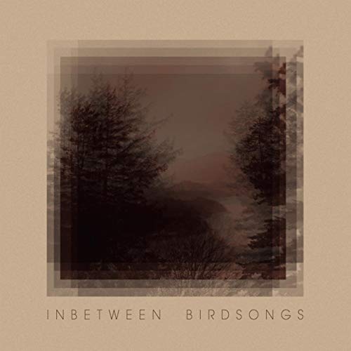 Inbetween Birdsongs [Vinyl LP] von RADICALIS