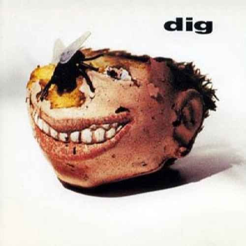 Dig - Dig - [CD] von RADIOACTIVE