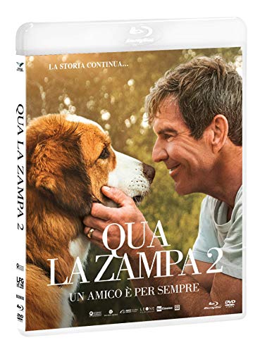 Qua La Zampa 2 - Un Amico E' Per Sempre (Blu-Ray+Dvd) von RAI CINEMA