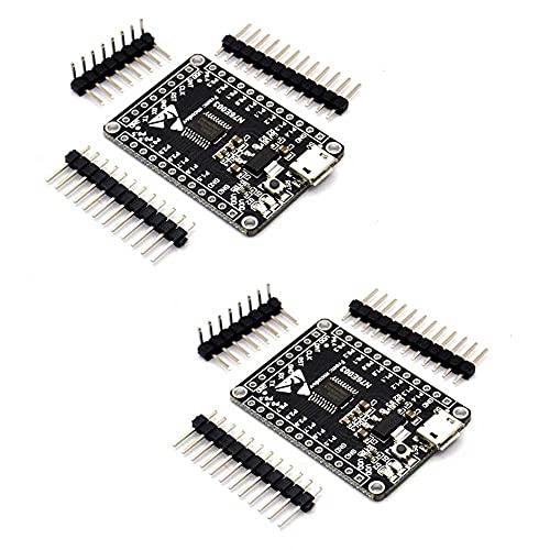 RAKSTORE 2 Stück N76E003AT20 51 Entwicklungsplatine 51 Core Board N76E003 Entwicklungsplatine von RAKSTORE