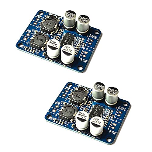 RAKSTORE 2 Stück TPA3118 PBTL 60W Mono Digital Audio Verstärker Board DC 8-24V AMP Modul 1 x 60W 4-8Ω von RAKSTORE