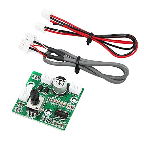 RAKSTORE 60W High Power Mono Verstärker Audio Board HIFI Digital Mini Endstufe Modul von RAKSTORE