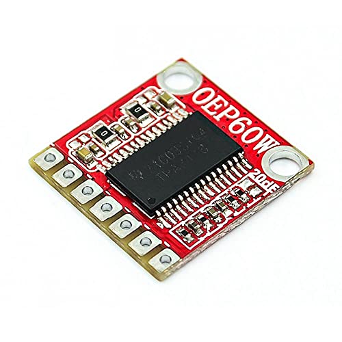 RAKSTORE OEP60W Mono Digital Verstärker Board Modul DIY Verstärker Kit 60W D Klasse von RAKSTORE