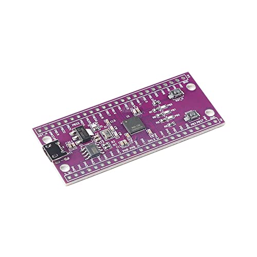 RAKSTORE W806 Mikrocontroller 240 MHz STM32 Entwicklungsplatine IoT MCU Chip CDK Entwicklung Umgebung Low Power IOT von RAKSTORE