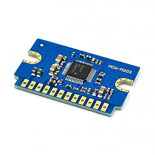 RAKSTORE YL2020 20 W + 20 W Klasse D Digital Verstärker Modul DC 12 V 24 V Mini Stereo Audio Board von RAKSTORE